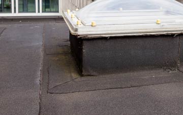 disadvantages of Marshall Meadows flat roofs