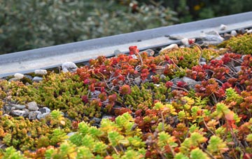 the cost of Marshall Meadows green roof installation