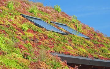 Marshall Meadows living roof systems