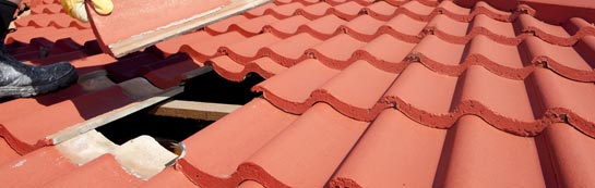 compare Marshall Meadows roof repair quotes